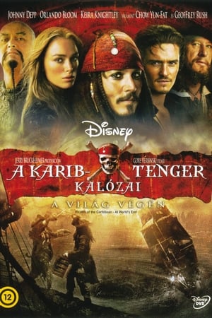 Pirates of the Caribbean: At World's End poster 4