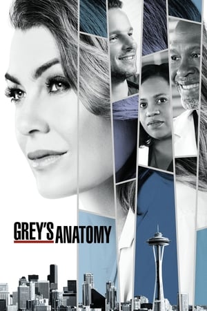 Grey's Anatomy, Season 8 poster 3