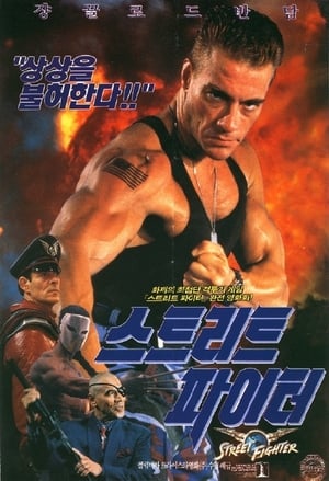 Street Fighter poster 1