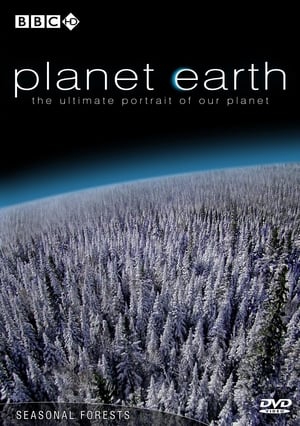 Planet Earth, Series 1 poster 3