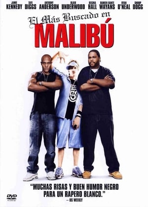 Malibu's Most Wanted poster 4