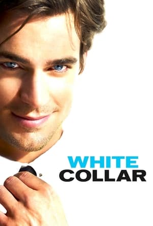 White Collar, Season 4 poster 2