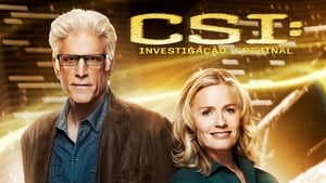 CSI: Crime Scene Investigation, Season 13 image 3