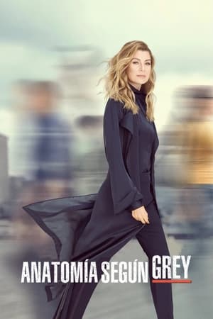 Grey's Anatomy, Season 3 poster 0