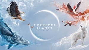 A Perfect Planet image 0
