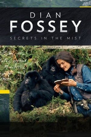 Dian Fossey: Secrets in the Mist poster 0