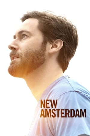 New Amsterdam, The Complete Series poster 1