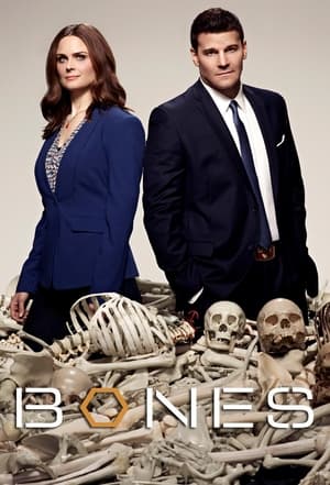 Bones, Season 10 poster 1