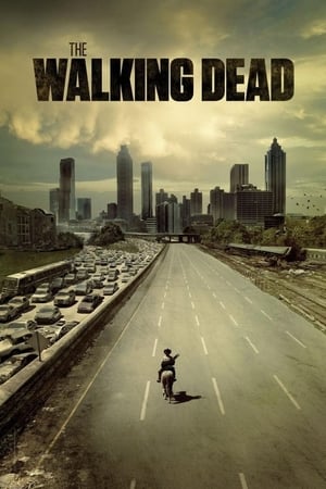 The Walking Dead, Season 10 poster 1