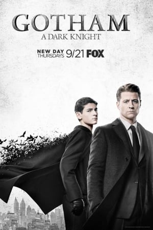 Gotham: The Complete Series poster 2