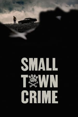 Small Town Crime poster 2