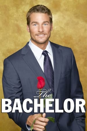 The Bachelor, Season 21 poster 0