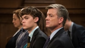 Law & Order: SVU (Special Victims Unit), Season 18 - Imposter image