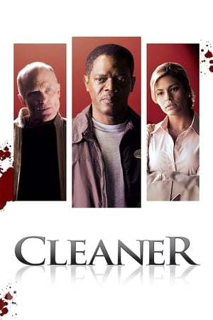Cleaner poster 4