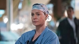 Grey's Anatomy, Season 13 - Ring of Fire image
