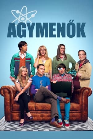 The Big Bang Theory, Season 11 poster 0