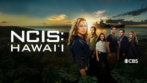 NCIS: Hawai'i, Season 2 image 0