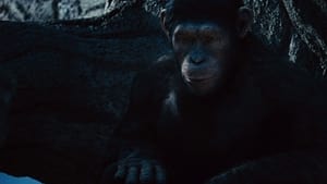 Rise of the Planet of the Apes image 6