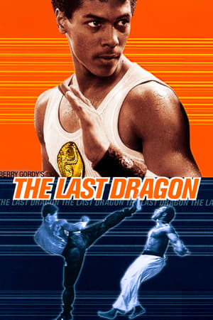 The Last Dragon poster 4