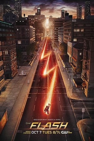 The Flash, Season 1 poster 0