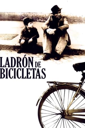 Bicycle Thieves poster 1