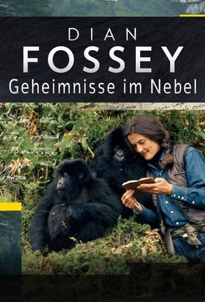 Dian Fossey: Secrets in the Mist poster 3