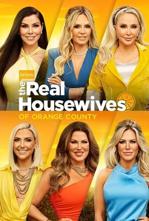 The Real Housewives of Orange County, Season 1 poster 3