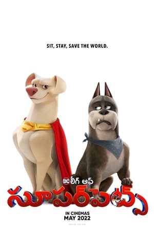 DC League Of Super-Pets poster 3