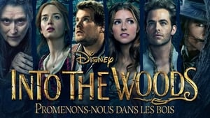 Into the Woods (2014) image 2
