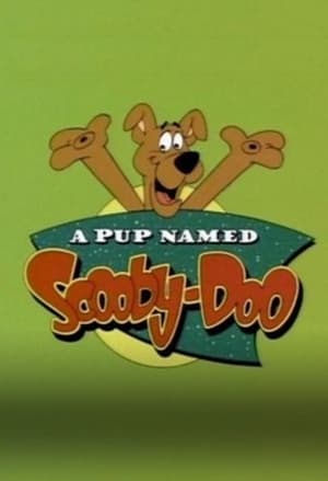 A Pup Named Scooby-Doo, Season 2 poster 2