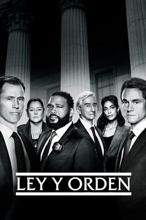 Law & Order, Season 16 poster 1