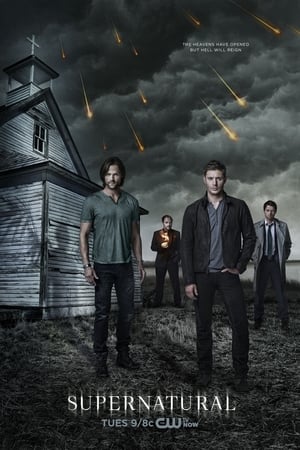 Supernatural, Season 10 poster 3