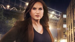Law & Order: SVU (Special Victims Unit), Season 9 image 0