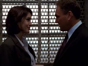 Law & Order: SVU (Special Victims Unit), Season 1 - Stalked image