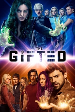 The Gifted, Season 1 poster 3