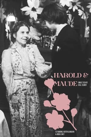 Harold and Maude poster 1