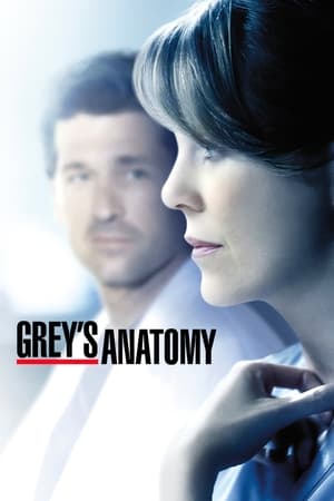 Grey's Anatomy, Season 18 poster 1