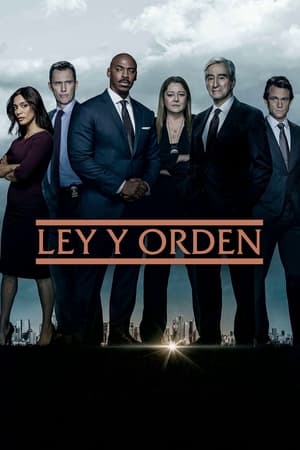 Law & Order, Season 21 poster 2
