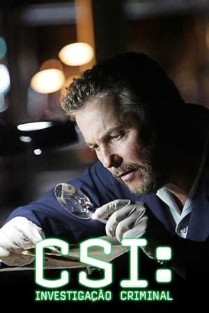 CSI: Crime Scene Investigation, Season 14 poster 3