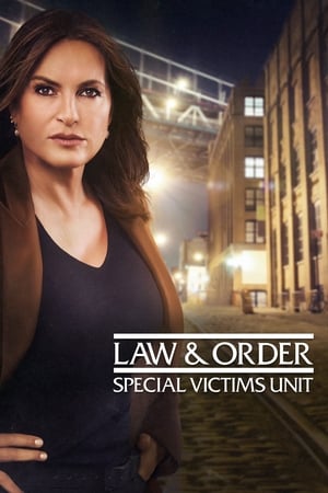 Law & Order: SVU (Special Victims Unit), Season 12 poster 3