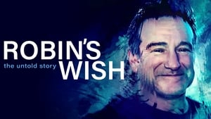 Robin's Wish image 1