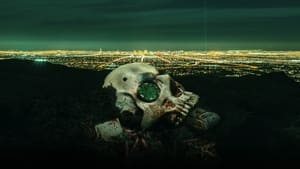 CSI: Vegas, Season 1 image 1