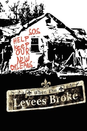 When the Levees Broke poster 1