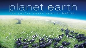 Planet Earth, The Complete Collection image 0