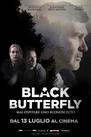 Black Butterfly poster 4