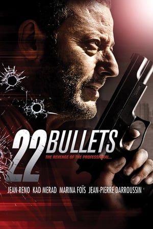 22 Bullets poster 4