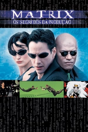 The Matrix: Revisited poster 2