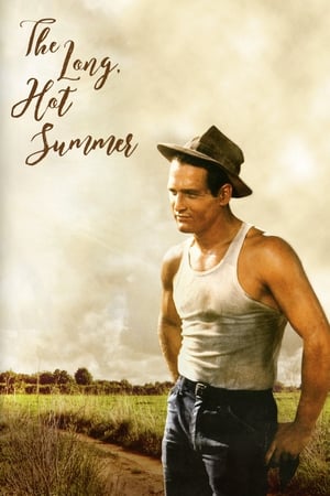 The Long, Hot Summer poster 1