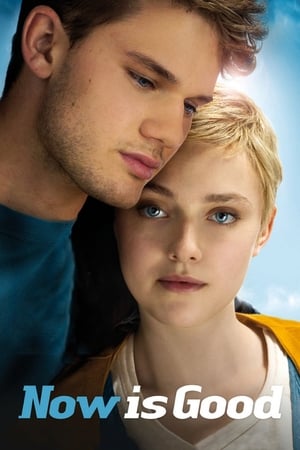 Now is Good poster 2