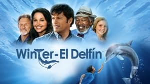 Dolphin Tale image 5